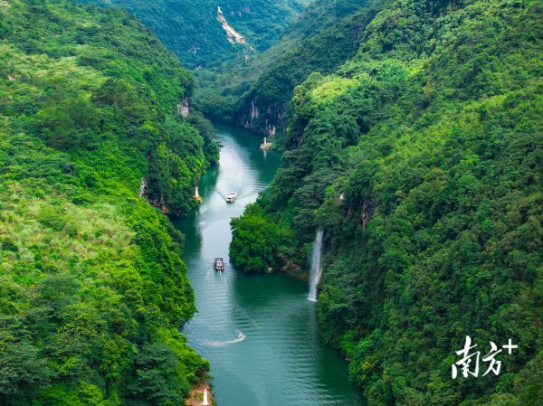 广东省国粹学会会长王焱解码清远疗愈经济｜智库视点